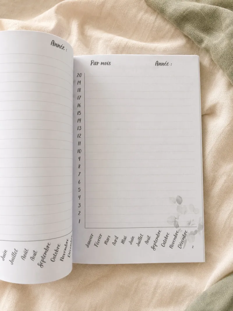 Carnet de lecture 100 fiches