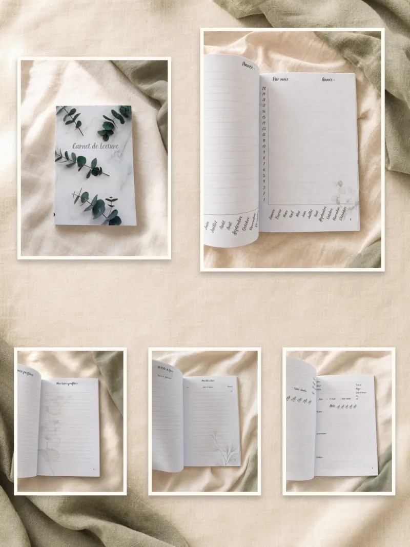 Carnet de lecture 100 fiches